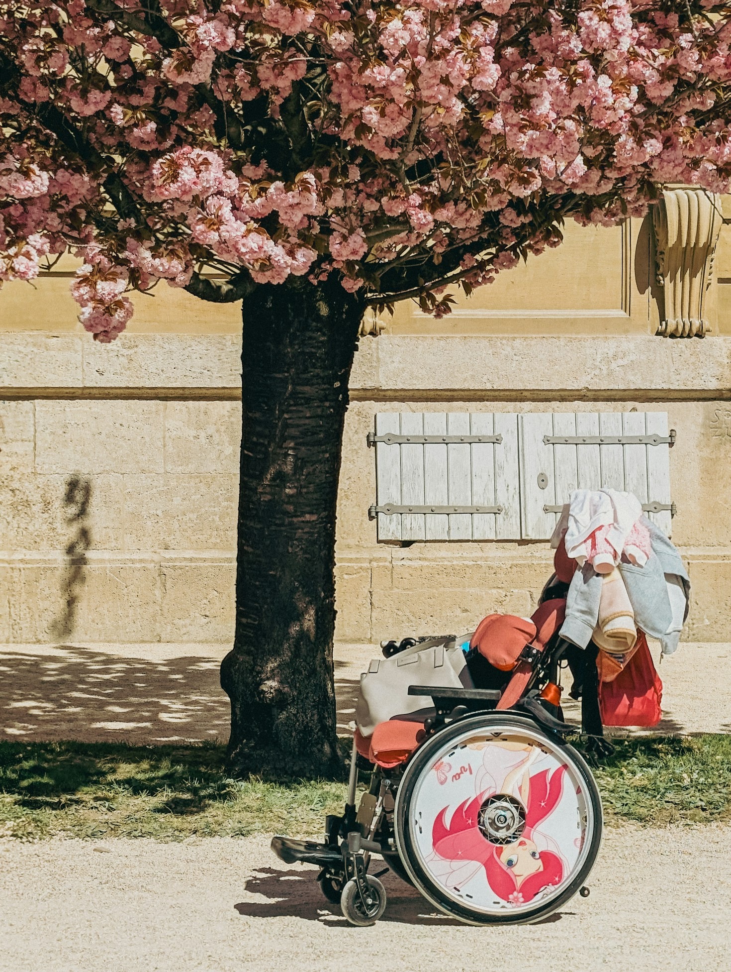 How to Select the Best Wheelchair for Your Needs
